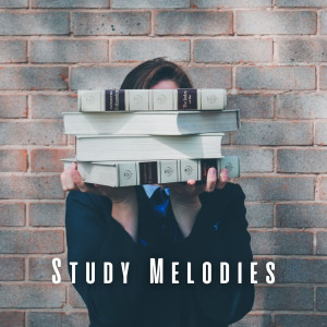 Reading Music and Study Music的專輯Study Melodies: Mindful Ambient Music