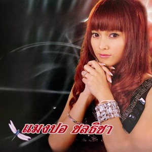 ดาวน์โหลดและฟังเพลง คำเตือนของแม่ พร้อมเนื้อเพลงจาก แมงปอ ชลธิชา