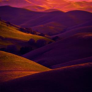 收聽Damien Jeunet的The Great Escape歌詞歌曲