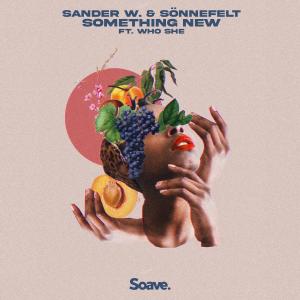 Listen to Something New (feat. WHO SHE) song with lyrics from Sander W.