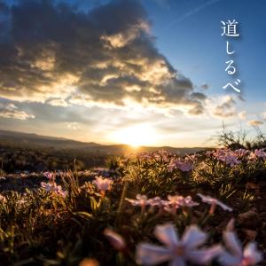 Listen to Michi Shirube song with lyrics from Ayaka