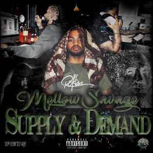 收聽Mellow $avage的Drugz (feat. B-Roll) (Explicit)歌詞歌曲