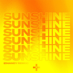 อัลบัม Sunshine (feat. Salena Mastroianni) (Chaney Remix) ศิลปิน Ruff Loaderz