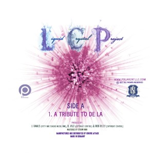 Listen to Stakes Still High song with lyrics from Liquid Crystal Project