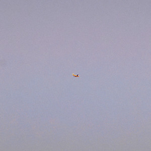Album In Transit from AK