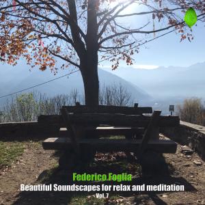 อัลบัม Beautiful Soundscapes for Relax and Meditation, Vol. 7 ศิลปิน Federico Foglia