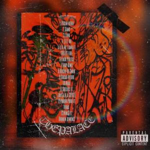 HVSTLES GANG的專輯THE PALACE (Explicit)