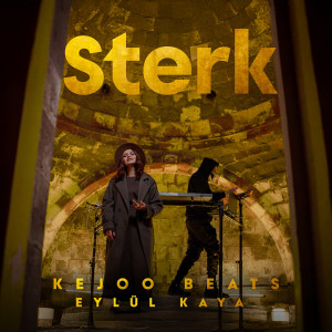 Listen to Sterk song with lyrics from Kejoo Beats