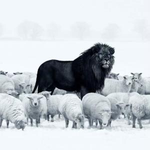 Listen to God Almighty (Explicit) song with lyrics from GOD
