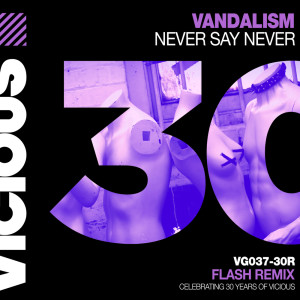 Dengarkan lagu Never Say Never (Flash Remix) nyanyian VanDalism dengan lirik