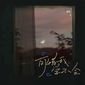 Listen to 可惜我学不会 (伴奏) song with lyrics from 谌宥