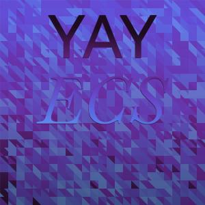 Listen to Shake Us song with lyrics from Aart Roue