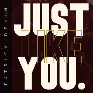 Listen to Just Like You song with lyrics from Patrick Devin