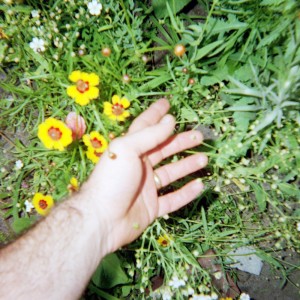 Album Drenched In Summer from Aldrich