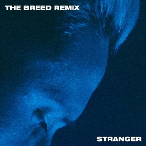 Album Stranger (The Breed Remix) from Teesy