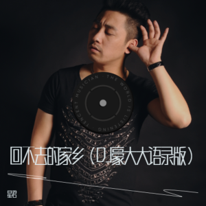 Album 回不去的家乡（DJ豪大大语录版） from 星君