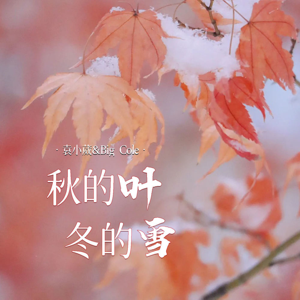 秋的叶 冬的雪 (DJ九零版)