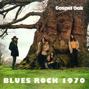 收聽Gospel Oak的Why We Came歌詞歌曲
