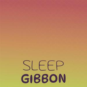 Various的专辑Sleep Gibbon