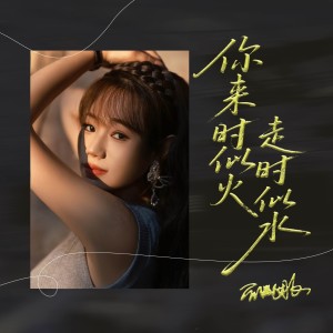 Album 你来时似火走时似水 from 蔷薇团长