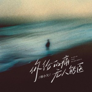 Album 你给的痛无人能医 from 韩小欠