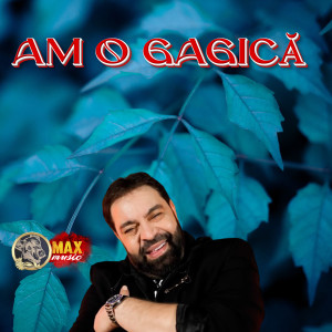 Listen to NU ŞTIU DOAMNE song with lyrics from Florin Fermecătorul