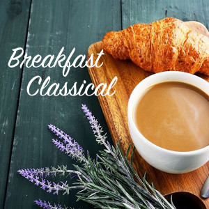 Listen to Concerto for Piano and Orchestra No. 2 in D major, Hob 18: I song with lyrics from Trio Company Society Orchestra