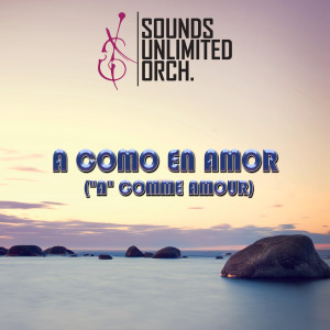 收聽Sounds Unlimited Orchestra的"A" Comme Amour歌詞歌曲