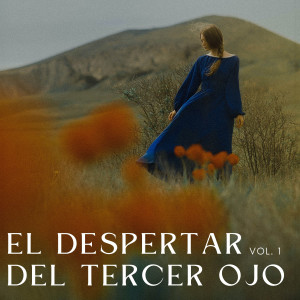 Album El Despertar Del Tercer Ojo Vol. 1 from Lista de reproducción de música de meditación