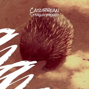 ดาวน์โหลดและฟังเพลง Caribbean Strengthened พร้อมเนื้อเพลงจาก Jaca Poler