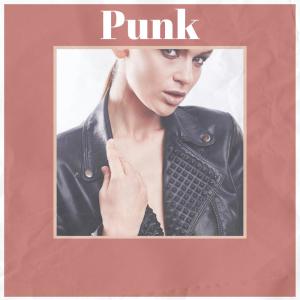 Album Punk from Various
