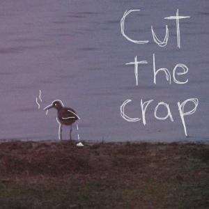 Cut the Crap (Explicit) dari Jorgensen