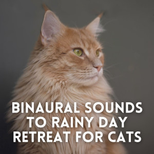 Album Binaural Sounds to Rainy Day Retreat for Cats oleh Forest Rain FX