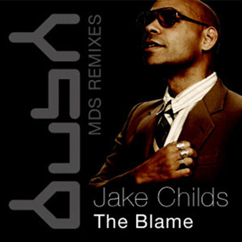 The Blame (Damir Pushkar Remix)