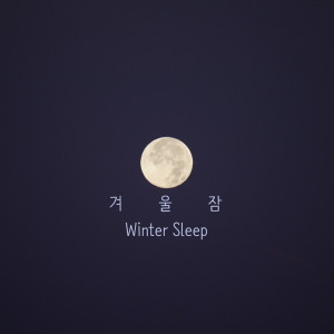 收聽정소율的冬眠(Inst.) (Instrumental)歌詞歌曲