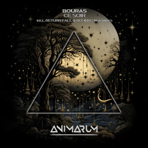 ดาวน์โหลดและฟังเพลง Ce Soir (Ronnye M Extended Remix) พร้อมเนื้อเพลงจาก Bouras
