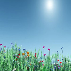 收聽鄧勃的廻廻奇譚歌詞歌曲