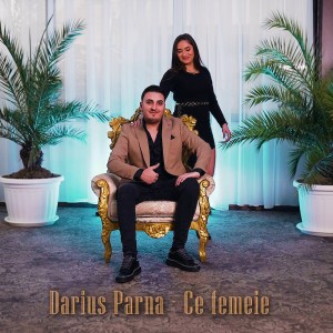 Album Ce femeie from 