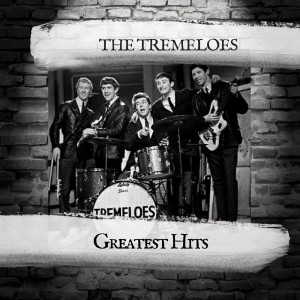 The Tremeloes的专辑Greatest Hits