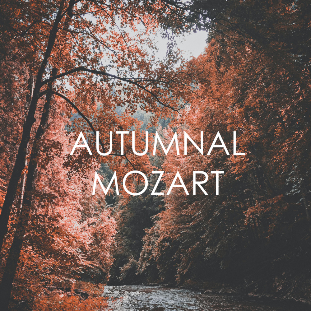 Mozart: Exsultate, jubilate, K. 165 - 4. Alleluia