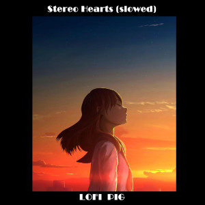 Listen to Stereo Hearts(Slowed) song with lyrics from Lofi Pig