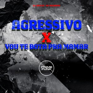 Dj Jhon SP的專輯Agressivo X Vou te Bota Pra Mamar (Explicit)