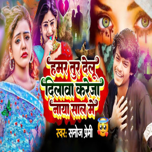 Listen to Hamar Tur Delu Dilawa Kareja Naya Sal Me song with lyrics from Sanoj Premi