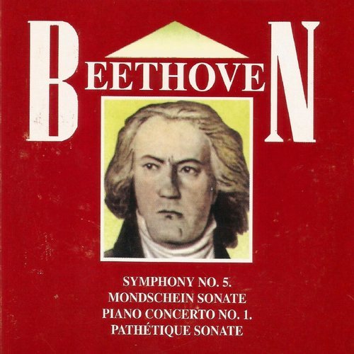 Symphony No. 5 in C Minor, Op. 67: II. Andante con moto