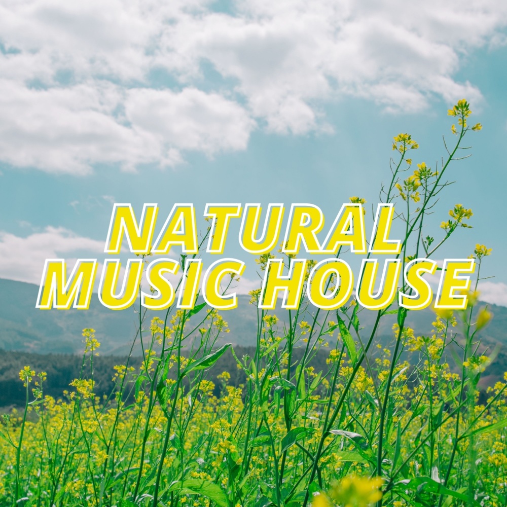 Full Level (Lonnie Vaxton Mix)