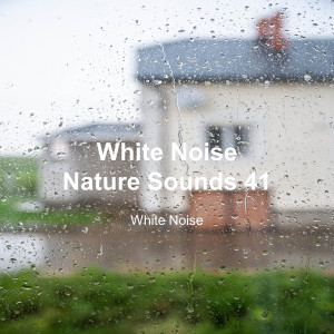 White Noise的专辑White Noise 41 (Rain Sounds, Bonfire Sound, Baby Sleep, Deep Sleep)
