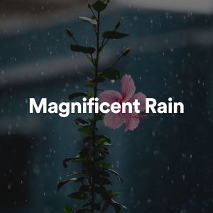 อัลบัม Magnificent Rain ศิลปิน Rain Sounds Nature Collection