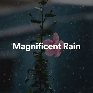 อัลบัม Magnificent Rain ศิลปิน Rainforest Sounds