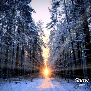 Album Snow from SLEPOV
