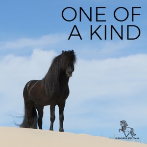 ดาวน์โหลดและฟังเพลง One of a Kind พร้อมเนื้อเพลงจาก Emilie Mølholm